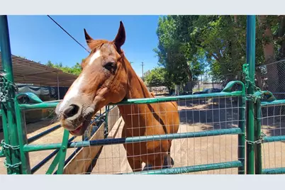 3821 Potrero, Fullerton, CA 92835 - Photo 59