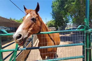3821 Potrero, Fullerton, CA 92835 - Photo 59