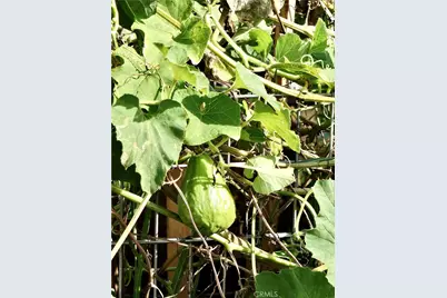 1891 McKinney Way #26B, Seal Beach, CA 90740 - Photo 61