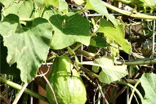 1891 McKinney Way, Seal Beach, CA 90740 - Photo 61