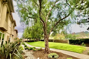 163 Night Heron Ln, Aliso Viejo, CA 92656 - Photo 33