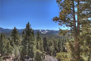 1101 Mound St, Big Bear City, CA 92314 - Photo 63