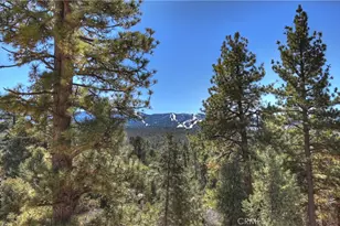 1101 Mound St, Big Bear City, CA 92314 - Photo 69