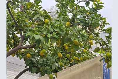 2004 Virginia Street, Bakersfield, CA 93305 - Photo 15