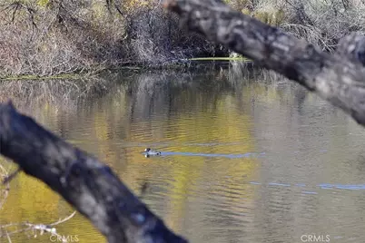 21734 Appaloosa Court, Canyon Lake, CA 92587 - Photo 35