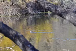 21734 Appaloosa Ct, Canyon Lake, CA 92587 - Photo 35