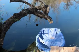 21734 Appaloosa Ct, Canyon Lake, CA 92587 - Photo 31