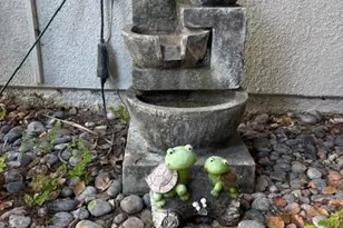 928 Avenida Majorca, Laguna Woods, CA 92637 - Photo 3