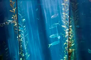 800 E Ocean Blvd, Long Beach, CA 90802 - Photo 51