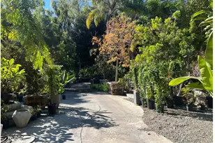 27401 Ortega, San Juan Capistrano, CA 92675 - Photo 5