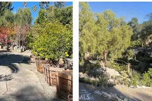 27401 Ortega, San Juan Capistrano, CA 92675 - Photo 7