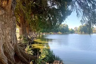 1816 Main St, Riverside, CA 92501 - Photo 33