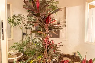 644 W Palm, Placentia, CA 92870 - Photo 17