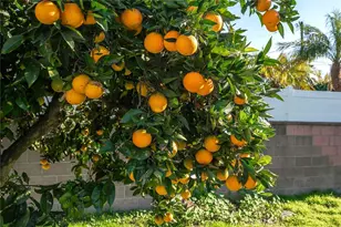 6426 E Belice St, Long Beach, CA 90815 - Photo 33