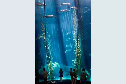 800 E Ocean Boulevard #504, Long Beach, CA 90802 - Photo 35