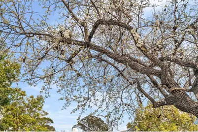 4260 Via Arbolada #206, Los Angeles, CA 90042 - Photo 29