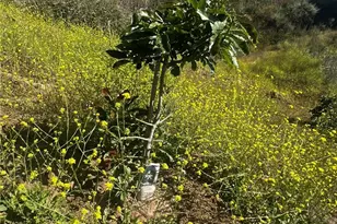 24385 Terreno, Temecula, CA 92590 - Photo 17