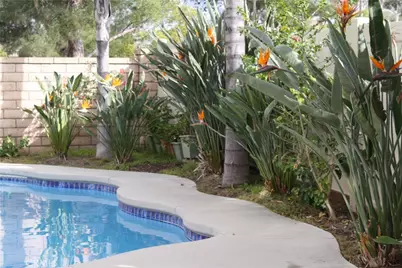 31464 Daybreak Court, Menifee, CA 92584 - Photo 7