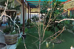 29324 Wild Lilac, Lake Elsinore, CA 92530 - Photo 23