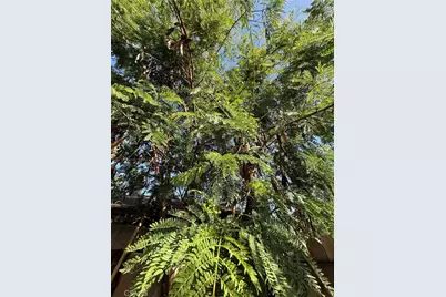 221 S Howard Street, Corona, CA 92879 - Photo 15