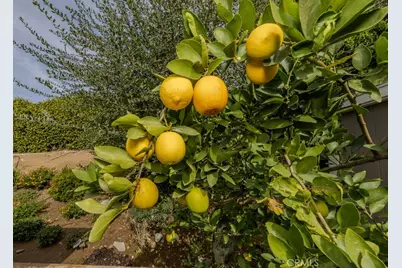 9588 Highland Avenue, Rancho Cucamonga, CA 91737 - Photo 43