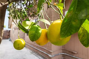 208 W 234th, Carson, CA 90745 - Photo 31