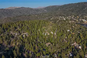 487 Wylerhorn Dr, Crestline, CA 92325 - Photo 45