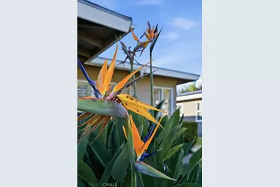 421 Sycamore Avenue, Brea, CA 92821 - Photo 39