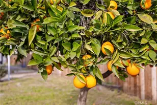 215 8th, Bakersfield, CA 93304 - Photo 23