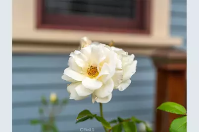 805 N Clementine, Anaheim, CA 92805 - Photo 43