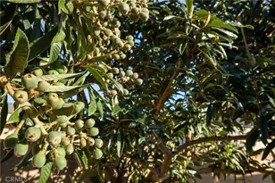 520 S Adria St, Anaheim, CA 92802 - Photo 39