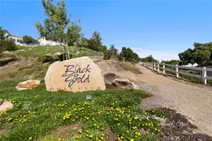 18705 Turfway Park, Yorba Linda, CA 92886 - Photo 61