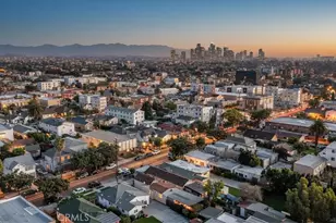 1450 W 35th Pl, Los Angeles, CA 90018 - Photo 47