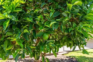 8792 Grindlay, Cypress, CA 90630 - Photo 27