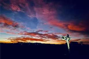 61915 Sunny Sands Dr, Joshua Tree, CA 92252 - Photo 1