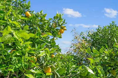 7905 Amethyst, Rancho Cucamonga, CA 91730 - Photo 37