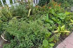 4117 McFadden, Santa Ana, CA 92704 - Photo 17