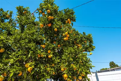 4439 Clark Avenue, Long Beach, CA 90808 - Photo 55