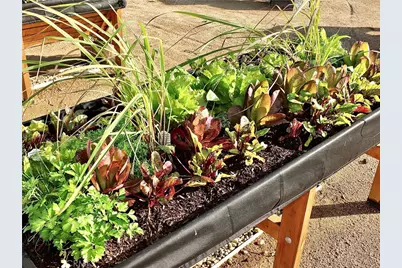 1560 Homewood Road #114-L, Seal Beach, CA 90740 - Photo 51