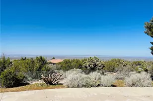 9425 Mountain Rd, Pinon Hills, CA 92372 - Photo 11