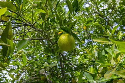 301 Oleander, San Jacinto, CA 92582 - Photo 41