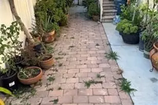 9080 Bloomfield, Cypress, CA 90630 - Photo 21