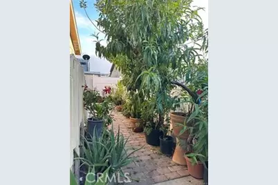 9080 Bloomfield #255, Cypress, CA 90630 - Photo 19