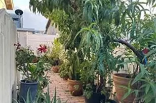 9080 Bloomfield, Cypress, CA 90630 - Photo 19