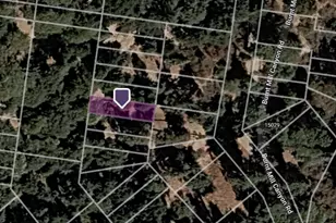 0 Burnt Mill Canyon Rd, Cedarpines Park, CA 92322 - Photo 1