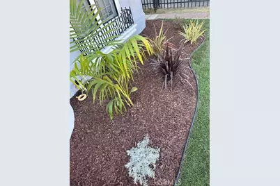 1025 Locust Avenue, Long Beach, CA 90813 - Photo 7