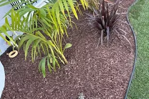 1025 Locust Ave, Long Beach, CA 90813 - Photo 7