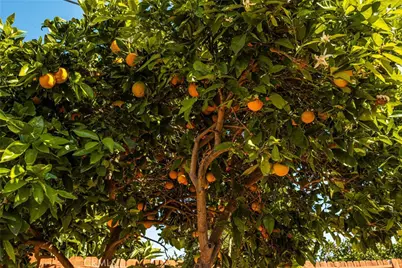 1311 Oak, Santa Ana, CA 92707 - Photo 25