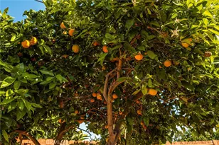 1311 Oak, Santa Ana, CA 92707 - Photo 25