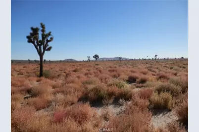 0 E 110 E./ Ave O12, Palmdale, CA 93591 - Photo 5